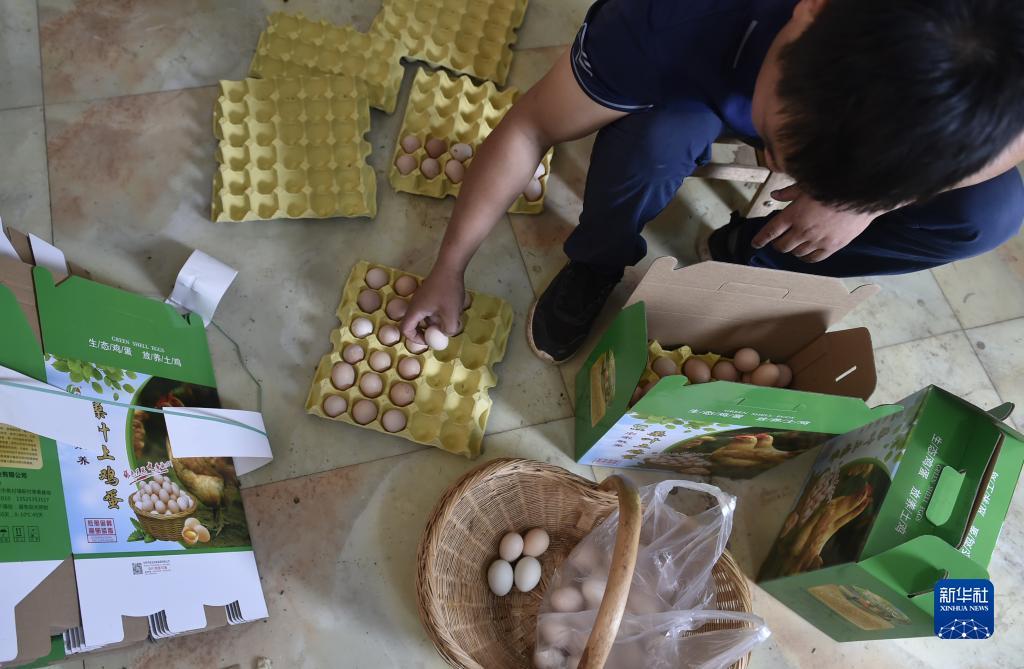 百富白菜网